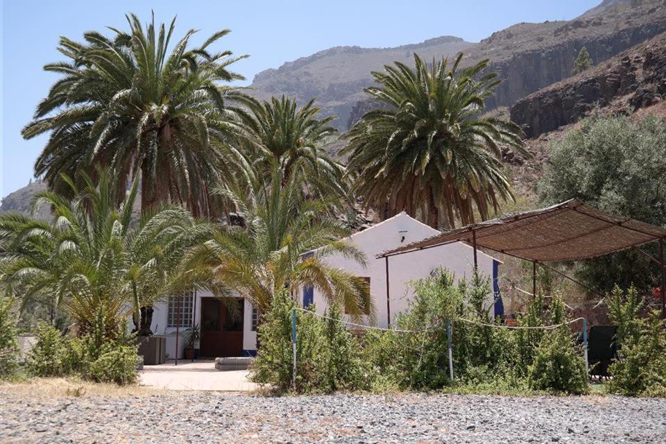 Pensjonat Ecotara Canary Islands Fátaga Zewnętrze zdjęcie